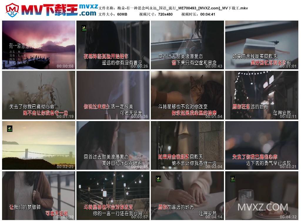 梅朵-有一种思念叫永远_国语_流行_ME700493
